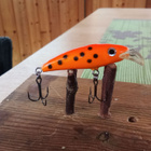 Jesse Junior 5cm - pikkukuva 1