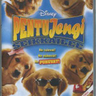 Pentujengi seikkailee - dvd - pikkukuva 1