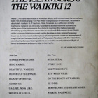 16 Great Hawaiian Hits Vol. 1 LP - pikkukuva 2