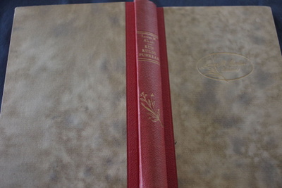 Louisa M. Alcott: Kun ruusu puhkeaa (1950)