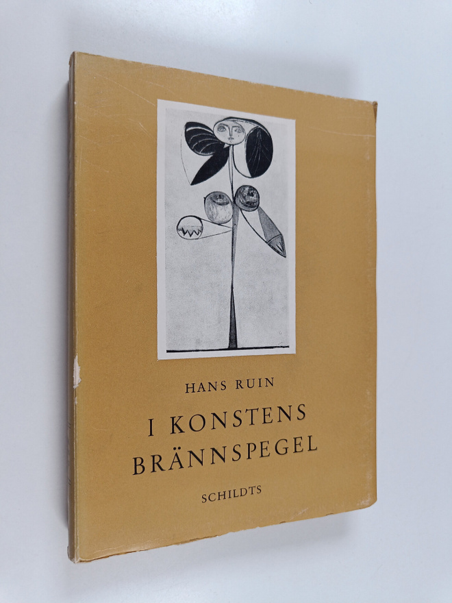 Hans Ruin : I konstens bränspegel