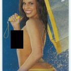 2007 Playboy Wet & Wild 2 #100 Checklist (Brittany Fuchs) - pikkukuva 1