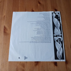 Spyro Gyra – Morning Dance lp 1979 Jazz-Funk, Fusion nm! - pikkukuva 4