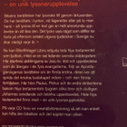 NYA TESTAMENTET - pikkukuva 2