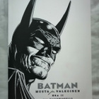 Wagner, Matt & co: Batman: Musta ja valkoinen II - pikkukuva 1