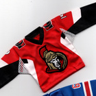 Jason Spezza Ottawa 07-08 Upper Deck Mini Jersey - pikkukuva 1