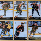 2024-25 Blueline Series 1 KooKoo Team Set 12 korttia (85-96) - pikkukuva 2