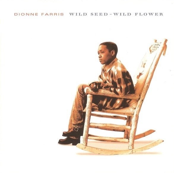 Dionne Farris – Wild Seed - Wild Flower - CD - 1994