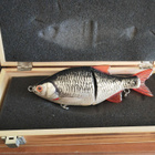 Lucky lures roach - pikkukuva 5
