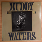 Muddy Waters - King bee LP - pikkukuva 1