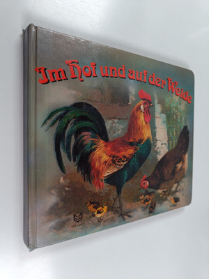 Im Hof und der Weide