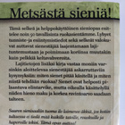 Mauri Lahti; Metsästä sieniä - pikkukuva 2
