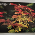 Ruissalo, Turku, kulkematon postikortti - pikkukuva 1