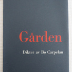 Bo Carpelan: DIKTER, 1969, UUDENVEROINEN - pikkukuva 1