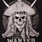 You Are Wanted Dead Or Alive - pitkähihainen t-paita - pikkukuva 3