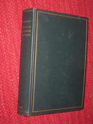Englannin suuri laivasto : Maailmansodassa 1914-18