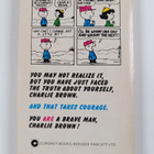 Charles Monroe Schulz : You're a Brave Man, Charlie Brown - pikkukuva 2