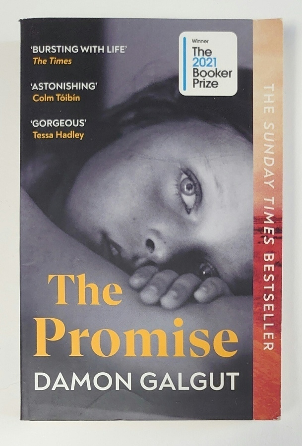Damon Galgut - The Promise
