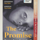 Damon Galgut - The Promise - pikkukuva 1