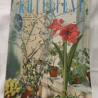 Kotiliesi maaliskuu no 5 1956 - pikkukuva 1