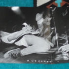 MUDHONEY Superfuzz Bigmuff ~ LP - pikkukuva 3