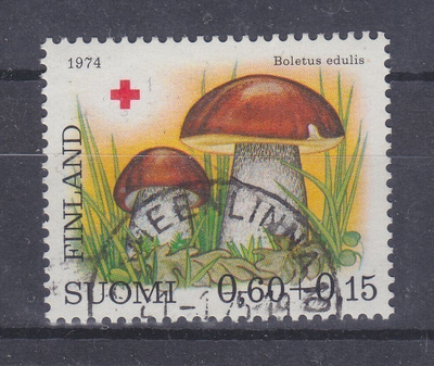 1974 Pr 0,6 mk loistoleimalla.
