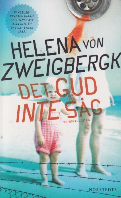 Helena von Zweigbergk: Det Gud inte såg