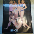Spice Girls Juliste-Taulu - pikkukuva 2