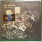 FEVER RAY - WHEN I GROW UP EX+/M- 12" MAXI - pikkukuva 1