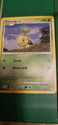 Turtwig 103 /130, Diamond&Pearl Base set 2007, common card