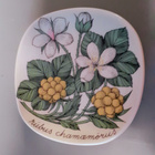 Arabia, Esteri Tomula. Botanica, Suomuurain/Lakka - pikkukuva 3