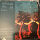 NICK CAVE & The Bad Seeds - The Best Of cd. - pikkukuva 2