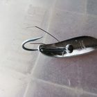 Kuusamo   Viiksi ruohikko  7,5cm - pikkukuva 2