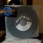 PELLE MILJOONA & LINNUNLAULU - DAZVIDANIA AFGANISTAN EX 7" - pikkukuva 1