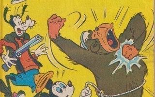 AKU ANKKA 1969 37