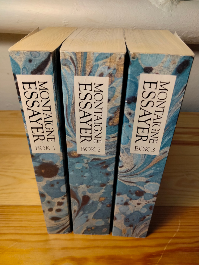 Michel de Montaigne : Essayer 1-3