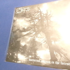 NEMA / MOONBLOOD M-/M- SAKSA 1996 PAINOS SPLIT 7'' SINGLE - pikkukuva 2