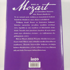 Antti Vihinen : Minä ja Mozart - pikkukuva 2