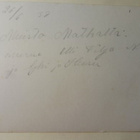 Lepaan Puutarhaopisto, lampi ja istutuksia, 1930-l, ei p. - pikkukuva 2