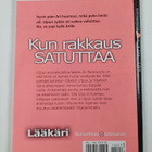 Johanna Salo : Kun rakkaus satuttaa - pikkukuva 2
