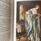 Grimmin satuja - suom. Anni Swan kuv. Arthur Rackham - pikkukuva 4