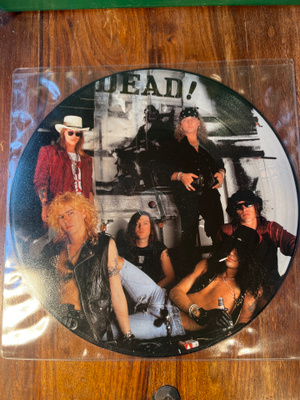Guns N’ Roses - Dont’t Cry lp kuvavinyyli