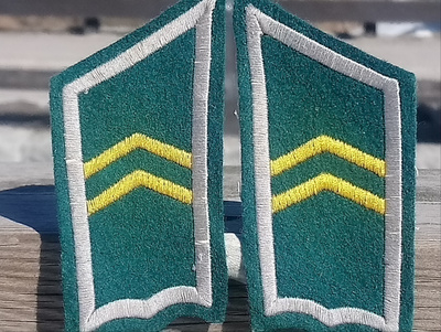 SA - Laattat. Pituus noin 82 mm.
