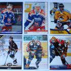 ESA PIRNES x 11 korttia, sis. jersey, cardset nimmarikortin - pikkukuva 2