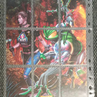 Cyberfrog Keräilykortteja - pikkukuva 2
