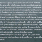 Timo Vikman: Sukellus - pikkukuva 2