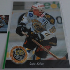 1994-95 SISU Leaf Peruskortit+Erikoiskortit - pikkukuva 5