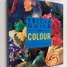 Tricia Ym. Guild : Tricia Guild on colour : decoration, f... - pikkukuva 1
