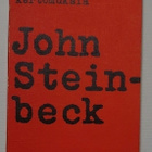 John Steinbeck - Punainen Poni ja Muita Kertomuksia - pikkukuva 1