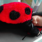 SULOINEN ANNE GEDDES LEPPÄKERTTU NUKKE - pikkukuva 1